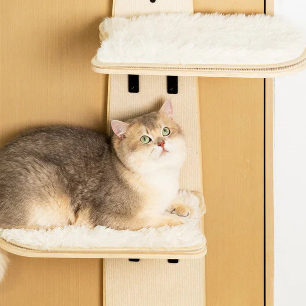 Soft Padded Cat Climbing Frame Multi-Level Door Hanging Cat Tower