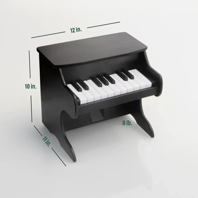 Pet Piano Smart Feeder