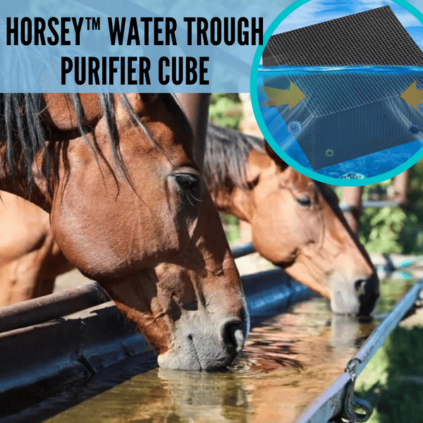 🔥 48% OFF 🔥 Livestock Water Trough Purifier - Buy 2 Free Shipping