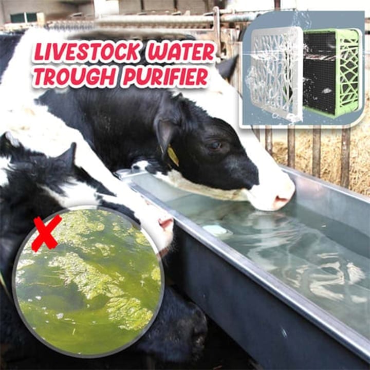 🔥 48% OFF 🔥 Livestock Water Trough Purifier - Buy 2 Free Shipping